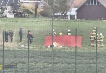 🔴 Targowisko. W stawie znaleziono ciało mężczyzny