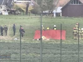 🔴 Targowisko. W stawie znaleziono ciało mężczyzny