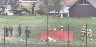 🔴 Targowisko. W stawie znaleziono ciało mężczyzny