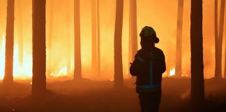 Strażacy z Bochni wezwani do dużego pożaru lasu w woj. lubelskim. Trwa trudna akcja, zginął pilot