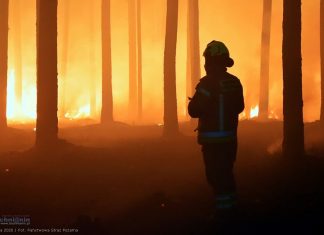 Strażacy z Bochni wezwani do dużego pożaru lasu w woj. lubelskim. Trwa trudna akcja, zginął pilot