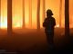Strażacy z Bochni wezwani do dużego pożaru lasu w woj. lubelskim. Trwa trudna akcja, zginął pilot