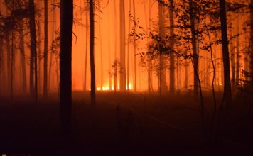 Uwaga na pożary lasów w Małopolsce. Służby w gotowości, alert RCB dla wielu powiatów