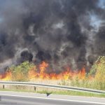 Duży pożar traw w Proszowicach. Ogień objął 18 hektarów, zagrożone były domy