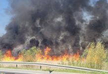 Duży pożar traw w Proszowicach. Ogień objął 18 hektarów, zagrożone były domy