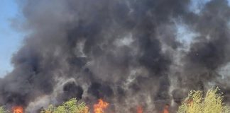 Duży pożar traw w Proszowicach. Ogień objął 18 hektarów, zagrożone były domy