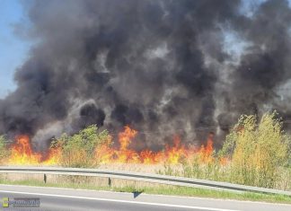 Duży pożar traw w Proszowicach. Ogień objął 18 hektarów, zagrożone były domy
