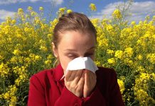 Alergia atakuje coraz mocniej. W Małopolsce już 72 tys. chorych, lawinowo rosną też przypadki astmy