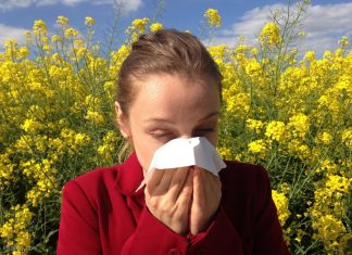 Alergia atakuje coraz mocniej. W Małopolsce już 72 tys. chorych, lawinowo rosną też przypadki astmy
