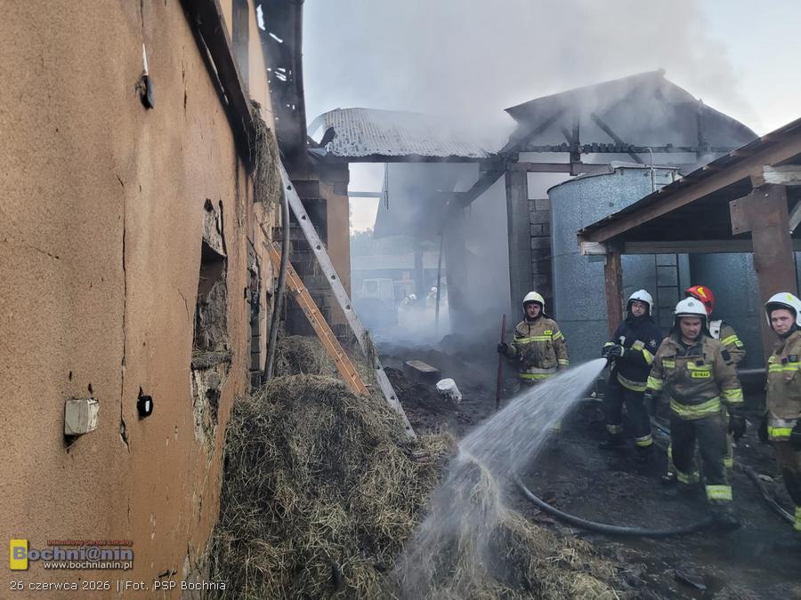 Duży pożar zabudowań w Starym Wiśniczu. Kilkugodzinna akcja strażaków, uratowano bydło