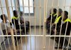 Siedmiu Kolumbijczyków pracowało nielegalnie w powiecie brzeskim. Muszą opuścić Polskę