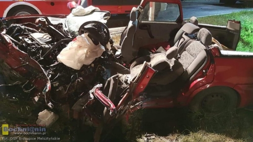 65382885 1150643245138114 4804292164664164352 n