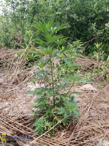 177bcd12-ac36-4395-b815-221ef2f0a57c