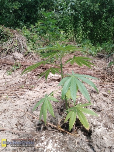 4d052d9f-215e-4c87-898d-831d2b0777bb