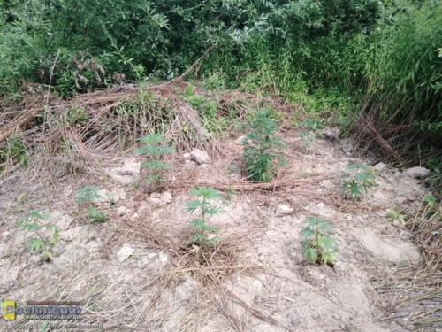 82359fbf-1841-4692-b6a2-90a6d7f072ad