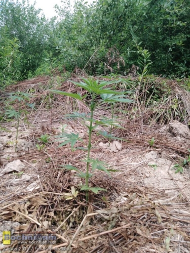 a66f240e-74cf-4711-bae5-75f8a54ff15c