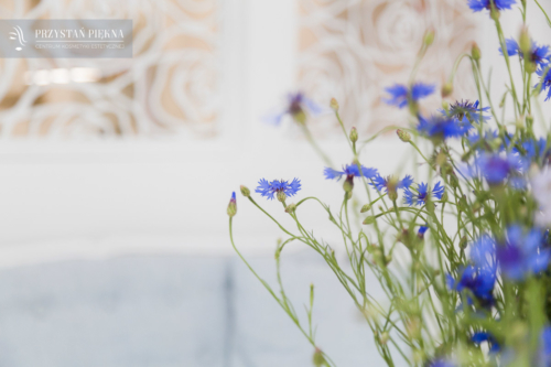 salon kosmetyki estetycznej-8