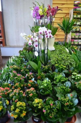 74183291 2350207125088979 1407921804688752640 o