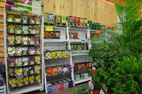 74703537 2350207368422288 8613418309238390784 o