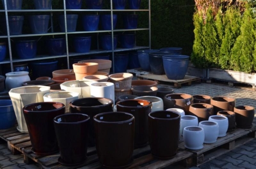 74895984 2350208261755532 8126666933983510528 o