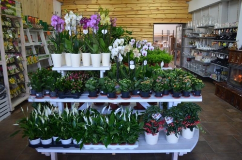 75380156 2350206591755699 6970341517470728192 o