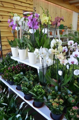 75380413 2350206945088997 200867941032394752 o