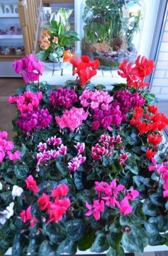 75398288 2350207378422287 3384874042489044992 o