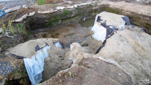 77156141 2402645709948683 4224346871033757696 n