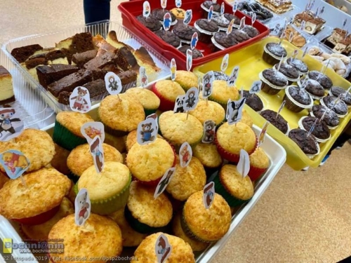 76688960 3333155903377991 2807197178785693696 n