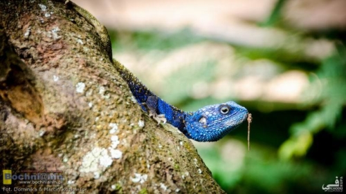 20190212-140905 TransAfrica - Uganda