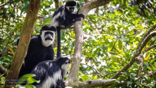 20190213-121736 TransAfrica - Uganda