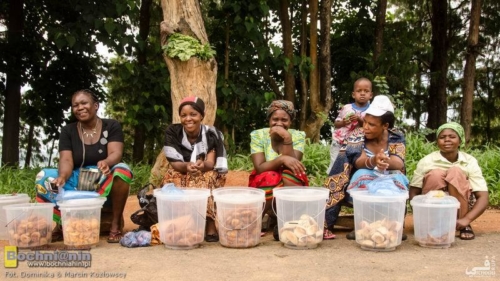 20190315-084505 TransAfrica - Malawi