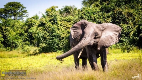 20190320-092302 TransAfrica - Zambia