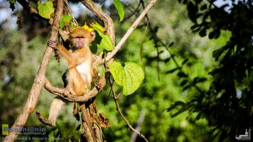 20190320-163504 TransAfrica - Zambia