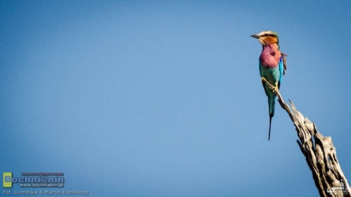 20190402-084157 TransAfrica - Botswana