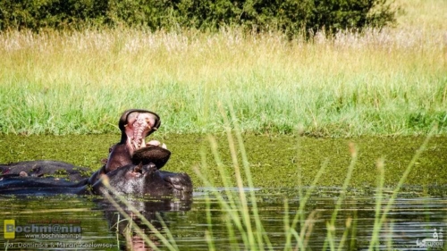 20190402-094821 TransAfrica - Botswana