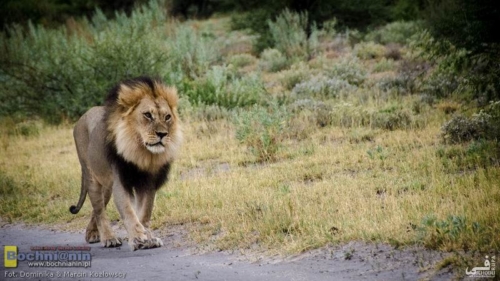 20190411-063658 TransAfrica - Botswana