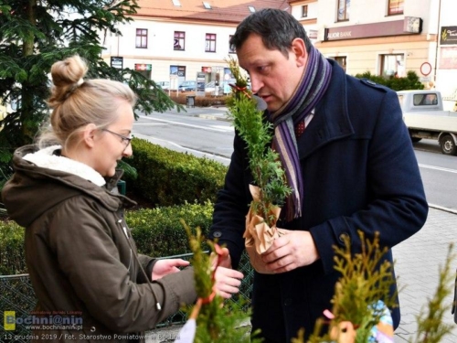 78885070 2593299624052536 2428279242488807424 o