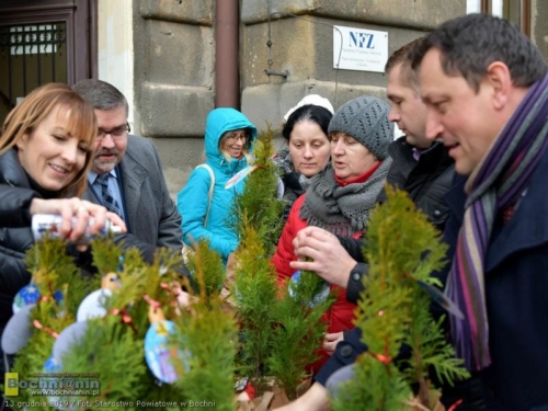 78912996 2593299770719188 3952464407425974272 o