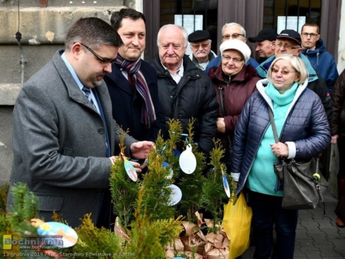 78946182 2593299730719192 6779276912305897472 o