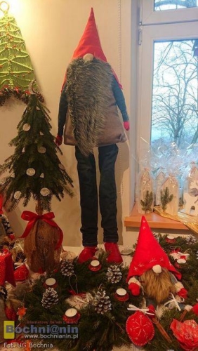 79928680 2477242665828271 5196995056195600384 o