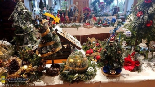 80250517 2477242205828317 2131845311298011136 o