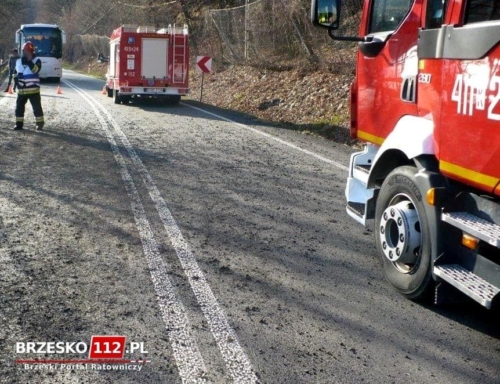 89699378 859932561144953 6879534269471916032 n