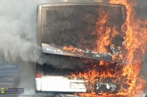 101025135 287699105725058 1533365163611127808 n2