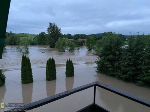 105388599 262001175128881 3611860308684985451 n