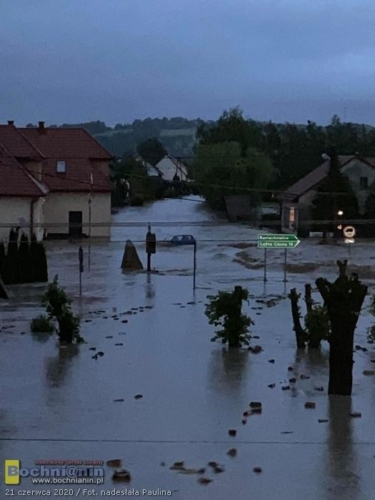 105594853 555408175121713 5667259294928085881 n