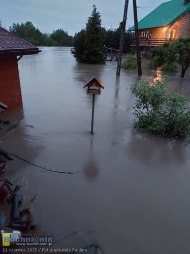 105977340 259258475172744 6002253430776976024 n