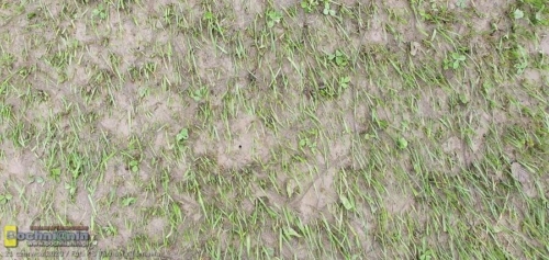 104767894 3000078983409949 6294156949408681261 o