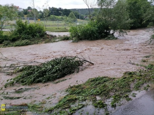 106194386 275657083700627 2221388316234389420 n