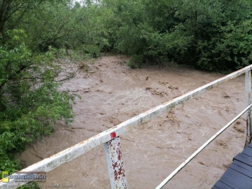 106402256 1650191388469214 3119786047524796484 n